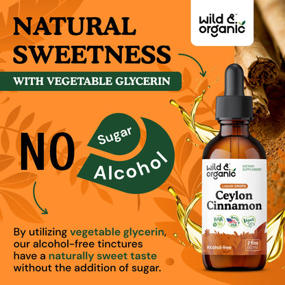 Wild & Organic Ceylon Cinnamon Supplements 500mg - Antioxidant Support - Ceylon Cinnamon Drops - Add to Tea Liquid Extract - Cinnamomum Verum Bark - Unflavored, Sugar & Alcohol-Free Tincture - 4 fl oz - PrimeBioHealth - canada supplements