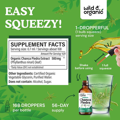 Wild & Organic Chanca Piedra Stone Breaker Drops - Kidney, Gallbladder & Urinary Support - Chanca Piedra Liquid Extract for Fast Absorption - Add to Tea Herb Tincture - Sugar & Alcohol-Free - 4 oz - PrimeBioHealth - canada supplements