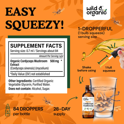 Wild & Organic Cordyceps Mushroom Tincture - Energy & Immune Support - Cordyceps Sinensis Extract Supplement - Liquid Mushroom Drops - Add to Tea & Mix with Powder - Sugar & Alcohol-Free - 4 fl oz - PrimeBioHealth - canada supplements