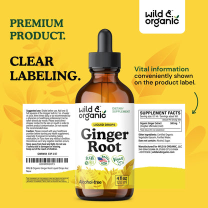 Wild & Organic Ginger Root Extract Drops - Immune & Digestive Support - Liquid Ginger Supplements - Easy to Add to Tea - Vegan, Sugar & Alcohol-Free Tincture - 4 fl oz - PrimeBioHealth - canada supplements