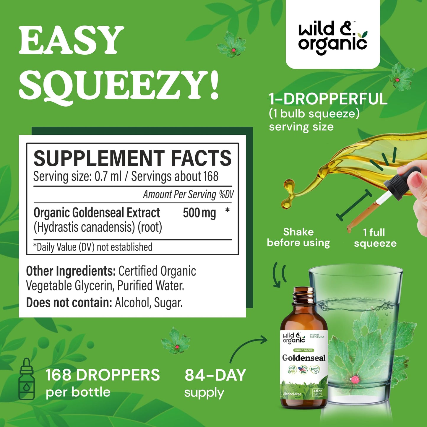 Wild & Organic Goldenseal Tincture - Lung & Digestive Support - Goldenseal Root Extract Liquid Drops - Vegan, Sugar & Alcohol-Free Herb Supplement - 4 fl oz - PrimeBioHealth - canada supplements