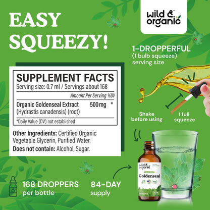Wild & Organic Goldenseal Tincture - Lung & Digestive Support - Goldenseal Root Extract Liquid Drops - Vegan, Sugar & Alcohol-Free Herb Supplement - 4 fl oz - PrimeBioHealth - canada supplements