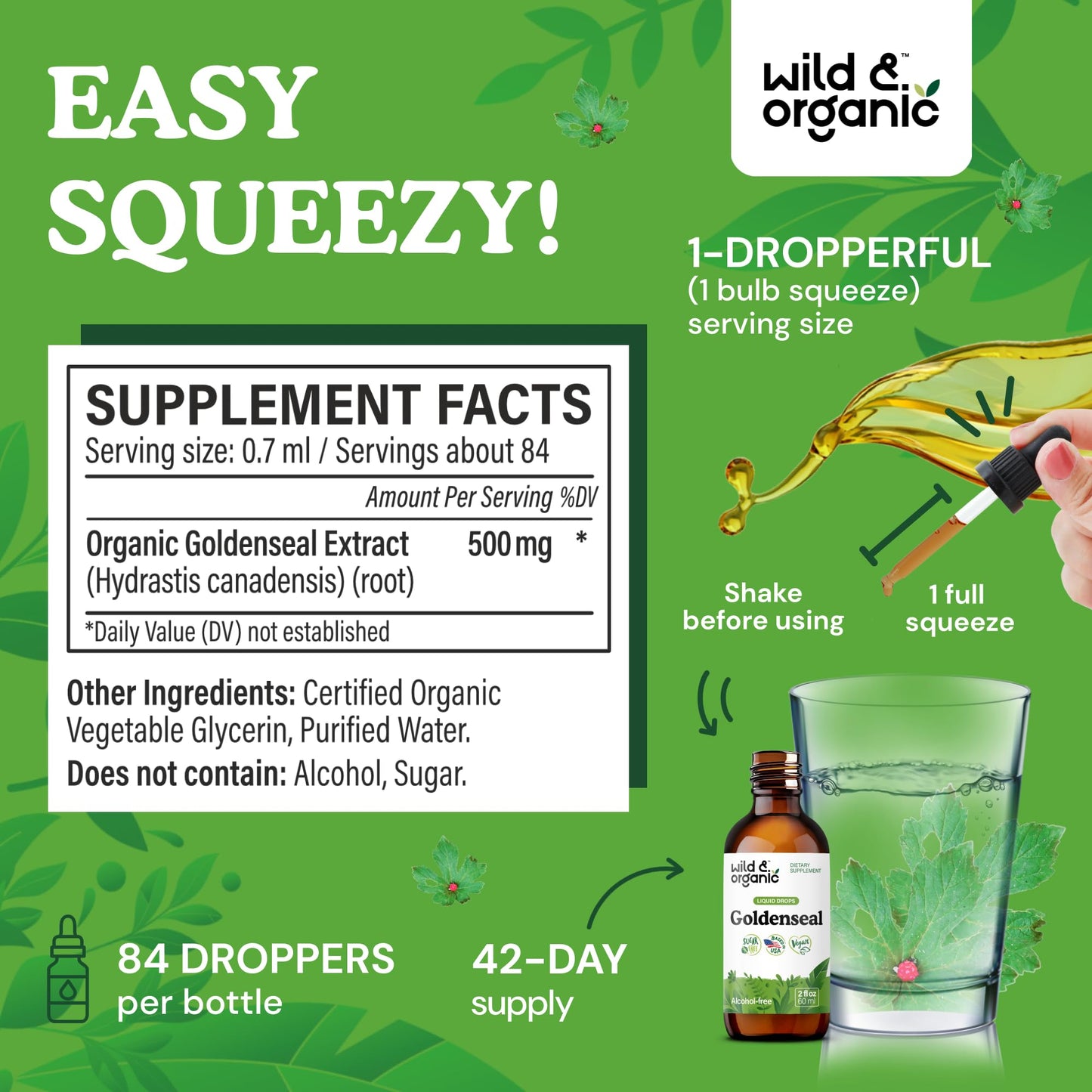 Wild & Organic Goldenseal Tincture - Lung & Digestive Support - Goldenseal Root Extract Liquid Drops - Vegan, Sugar & Alcohol-Free Herb Supplement - 4 fl oz - PrimeBioHealth - canada supplements