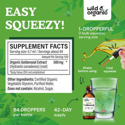 Wild & Organic Goldenseal Tincture - Lung & Digestive Support - Goldenseal Root Extract Liquid Drops - Vegan, Sugar & Alcohol-Free Herb Supplement - 4 fl oz - PrimeBioHealth - canada supplements