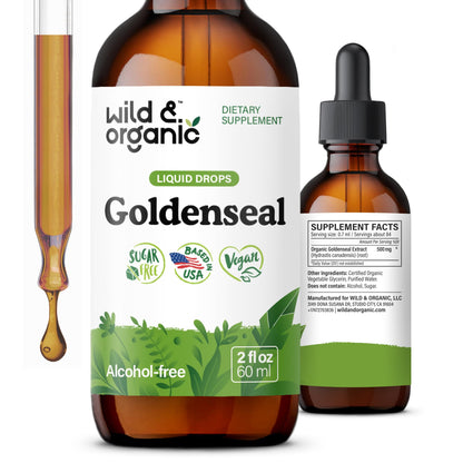 Wild & Organic Goldenseal Tincture - Lung & Digestive Support - Goldenseal Root Extract Liquid Drops - Vegan, Sugar & Alcohol-Free Herb Supplement - 4 fl oz - PrimeBioHealth - canada supplements