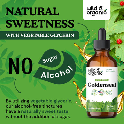 Wild & Organic Goldenseal Tincture - Lung & Digestive Support - Goldenseal Root Extract Liquid Drops - Vegan, Sugar & Alcohol-Free Herb Supplement - 4 fl oz - PrimeBioHealth - canada supplements
