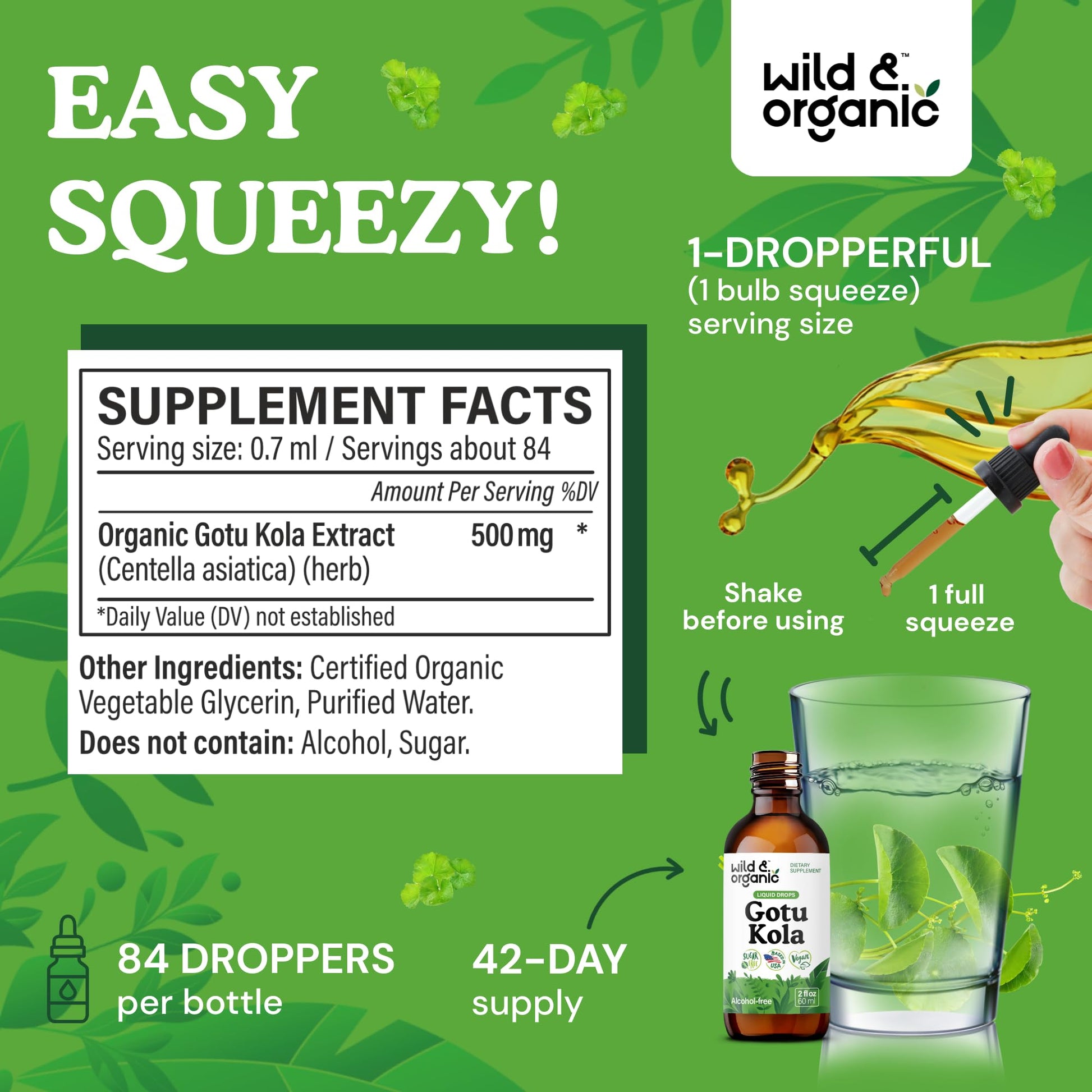 Wild & Organic Gotu Kola Extract Drops - Brain Support with Centella Asiatica Extract - Liquid Gotu Kola Supplement for Focus - Vegan, Sugar & Alcohol-Free Herb Tincture - 4 fl oz - PrimeBioHealth - canada supplements