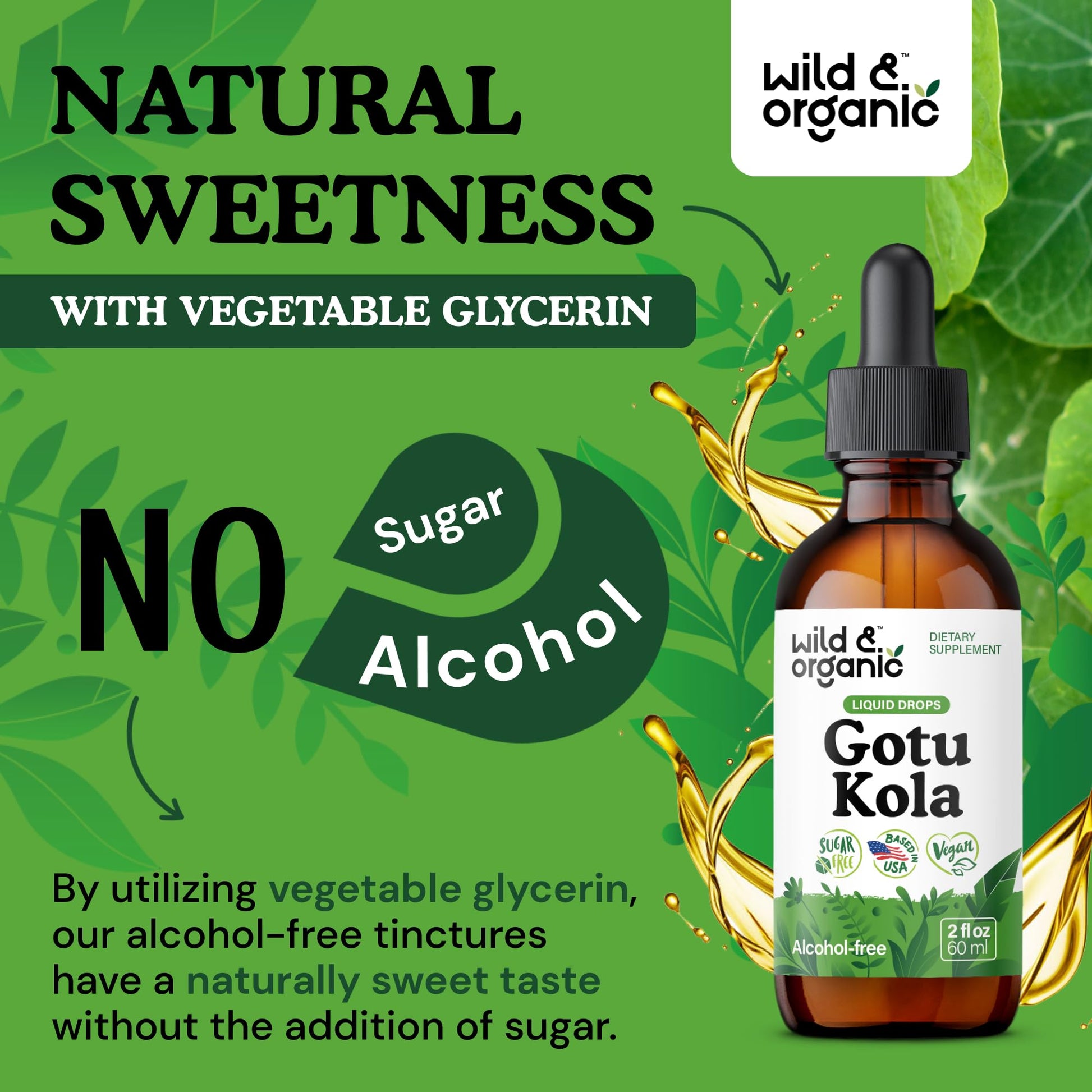 Wild & Organic Gotu Kola Extract Drops - Brain Support with Centella Asiatica Extract - Liquid Gotu Kola Supplement for Focus - Vegan, Sugar & Alcohol-Free Herb Tincture - 4 fl oz - PrimeBioHealth - canada supplements