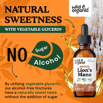 Wild & Organic Lions Mane Liquid Drops - Brain & Focus Support - Lion's Mane Mushroom Supplement - Hericium Erinaceus Mushroom Drops - Mix with Powder - Sugar & Alcohol-Free Extract Tincture - 4 oz - PrimeBioHealth - canada supplements