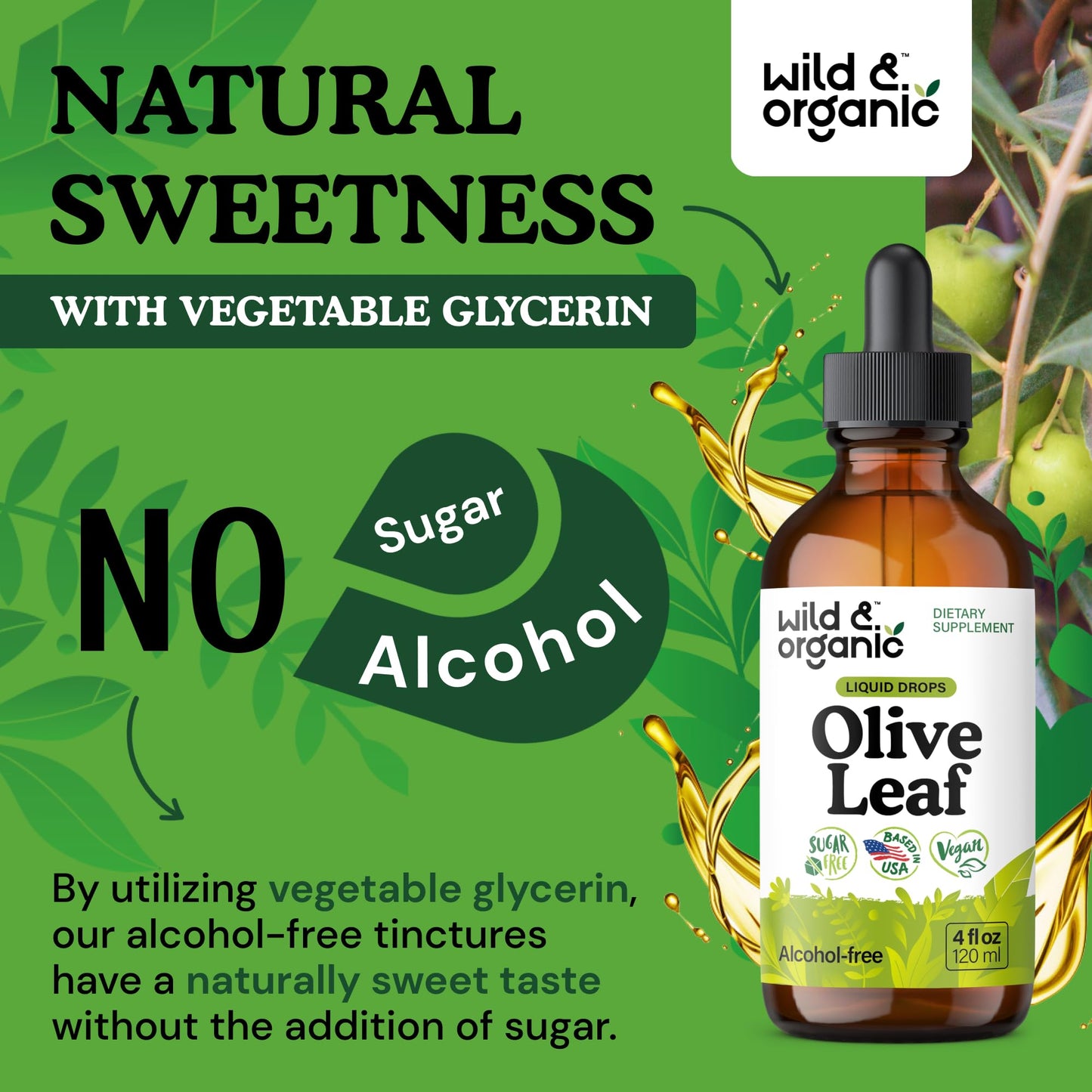 Wild & Organic Olive Leaf Extract Liquid Drops - Immune & Antioxidant Support - Oleuropein Supplement - Add to Tea Olive Leaf Tincture - Vegan, Sugar & Alcohol Free - 4 fl oz - PrimeBioHealth - canada supplements