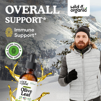 Wild & Organic Olive Leaf Extract Liquid Drops - Immune & Antioxidant Support - Oleuropein Supplement - Add to Tea Olive Leaf Tincture - Vegan, Sugar & Alcohol Free - 4 fl oz - PrimeBioHealth - canada supplements