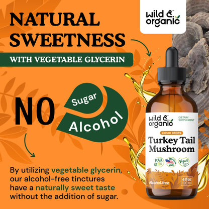 Wild & Organic Turkey Tail Mushroom Tincture - Immune Support Drops with Turkey Tail Extract - Liquid Mushroom Supplement for Gut Support - Vegan, Sugar & Alcohol-Free - 4 fl oz - PrimeBioHealth - canada supplements