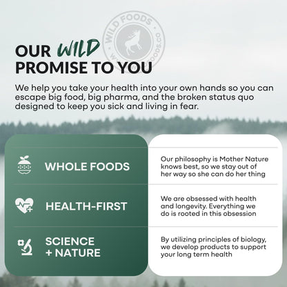 Wild Prebiotics and Probiotics with Digestive Enzymes | 20 Billion CFU - 10 Strains for Women & Men | Support Gut Health & Digestion Supplements | Non-GMO Prebiotic Fiber | 30 Capsules - PrimeBioHealth - canada supplements