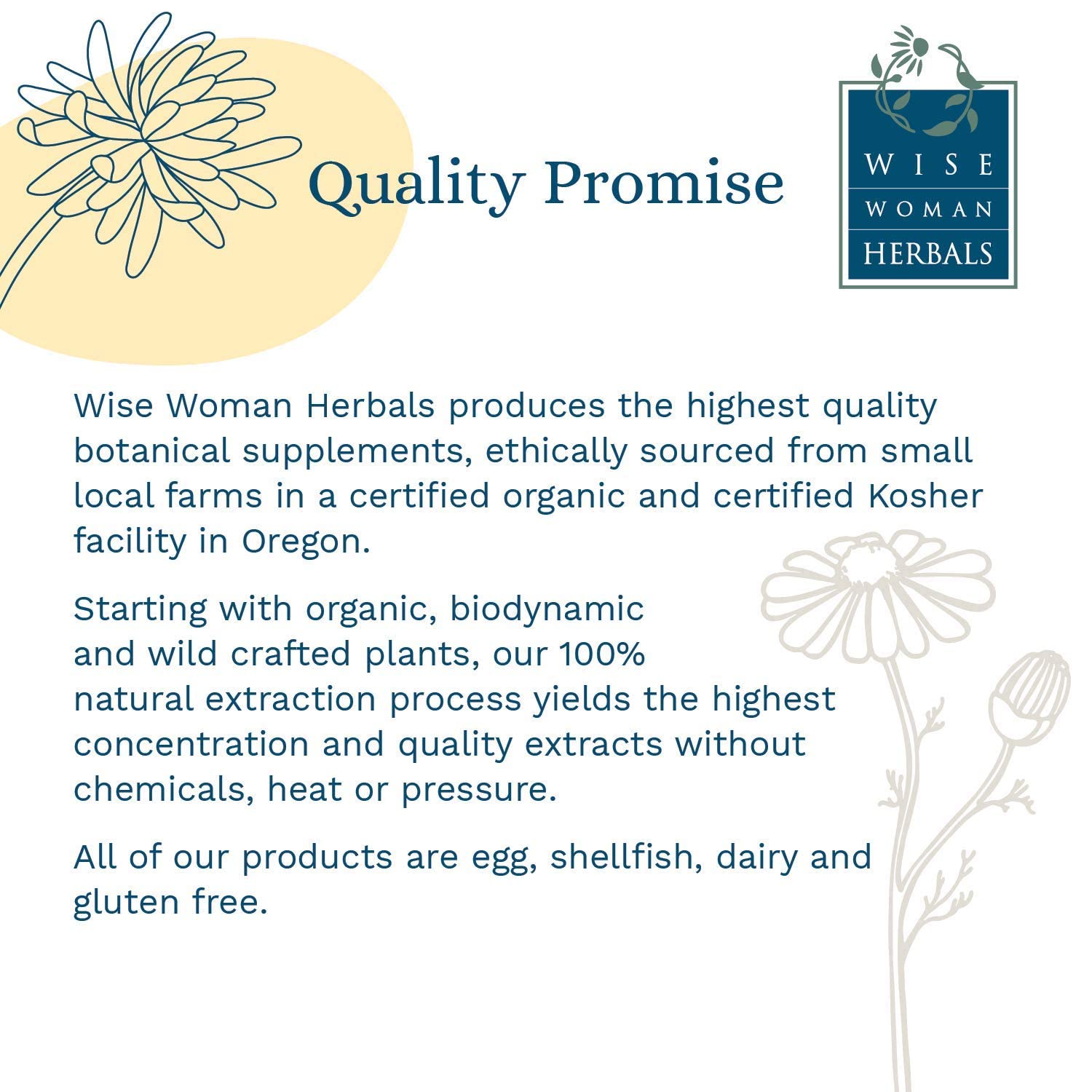 Wise Woman Herbals – Fiber Flow Capsules 120 Count – Supports Healthy Digestive Function, Gut Health, Bowel Health and Regularity - PrimeBioHealth - canada supplements