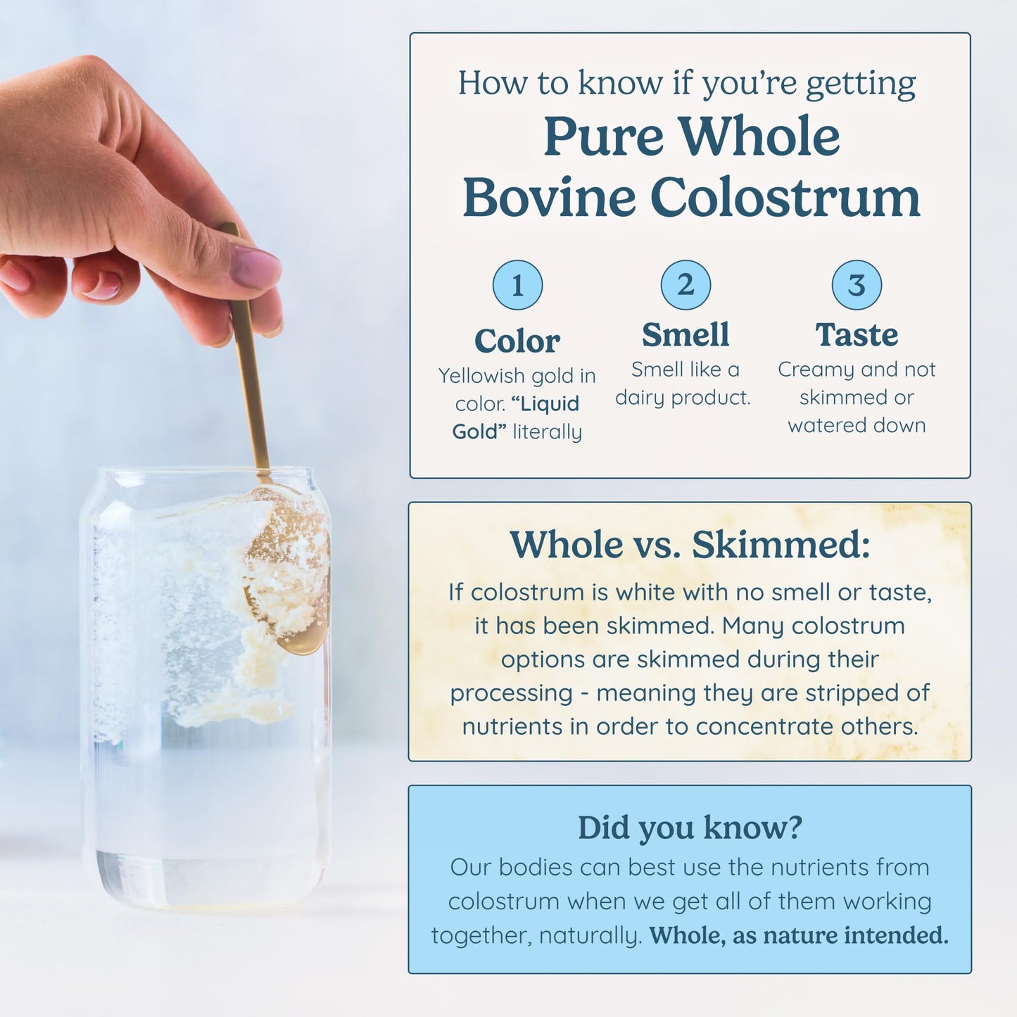 WONDERCOW Colostrum Supplement Powder for Gut Health, Immune Support & Wellness | Natural IgG Pure Whole Bovine Colostrum Superfood - PrimeBioHealth - canada supplements