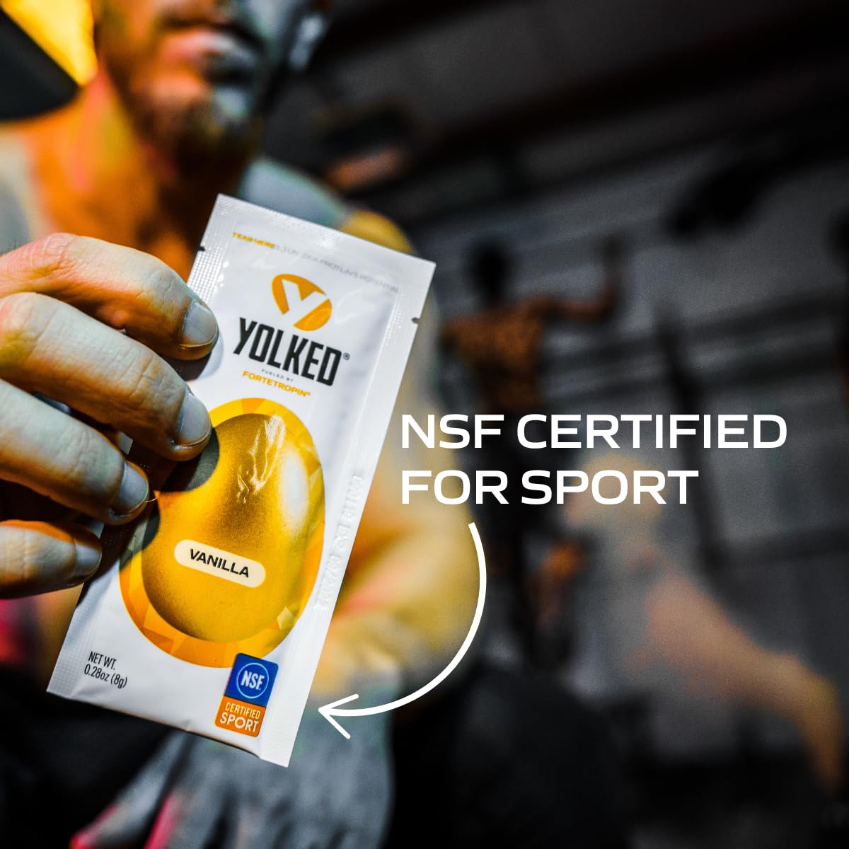 YOLKED - NSF-Certified Muscle Building Supplement - Help Increase Lean Muscle, Reduce Muscle Loss, and Improve Recovery with Fortetropin, 30 Servings - PrimeBioHealth - canada supplements