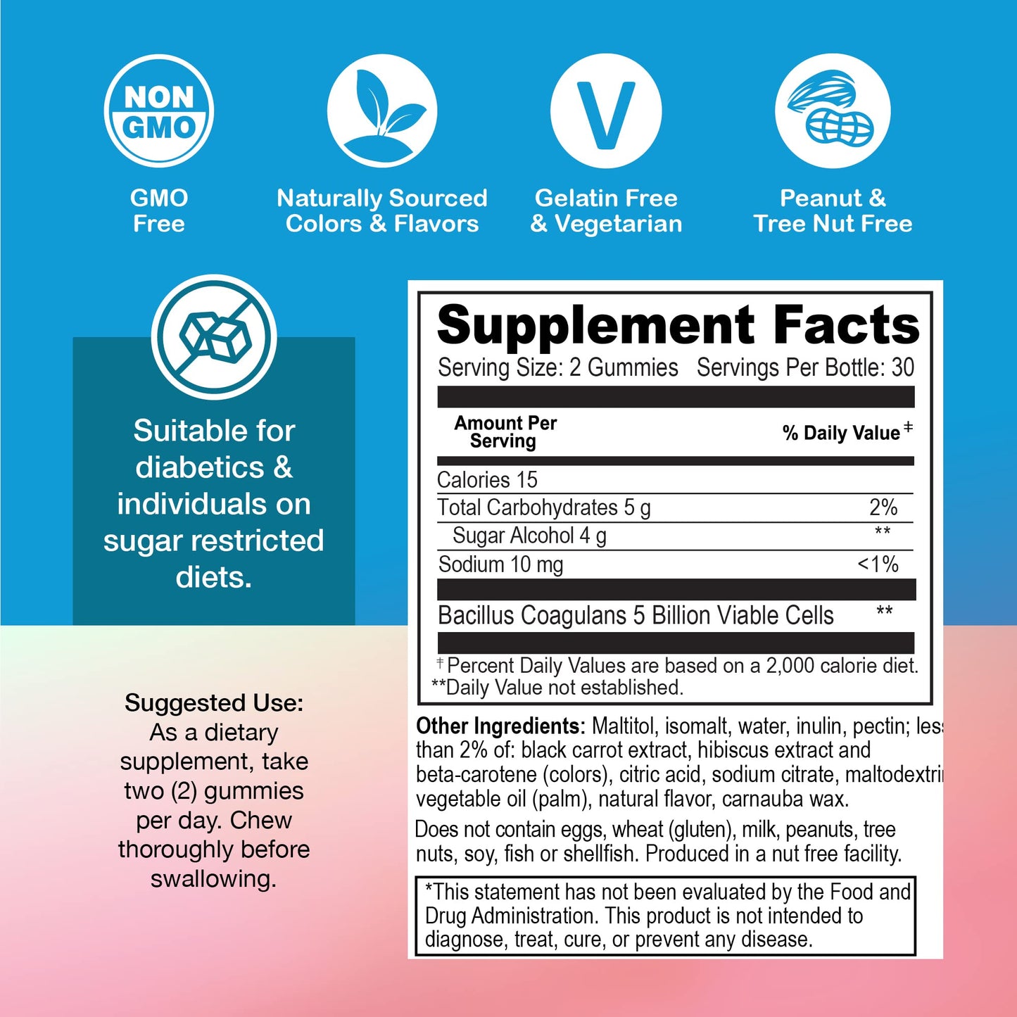 YUM-V'S Sugar Free Probiotic Gummies - Probiotics for Men & Women to Help Support Digestive Function – Adults & Kids Probiotic with 5 Billion CFU Bacillus Coagulans – Vegan & Gluten-Free (60 Count) - PrimeBioHealth - canada supplements