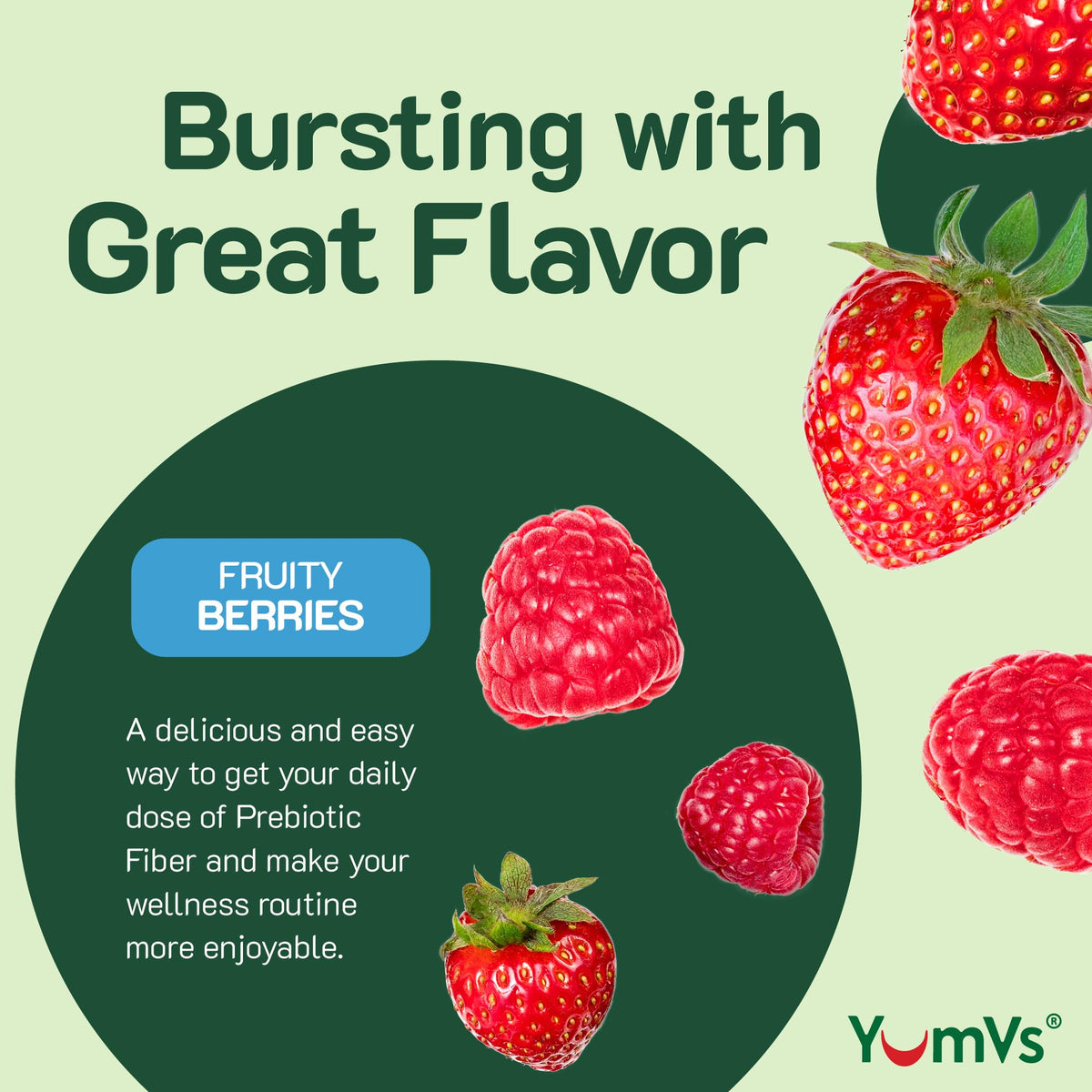 YumVs Sugar Free Prebiotic Fiber Gummies for Adults and Kids - Berry Flavor - Kosher Halal 4g High Fiber Supplement for Women and Men - PrimeBioHealth - canada supplements