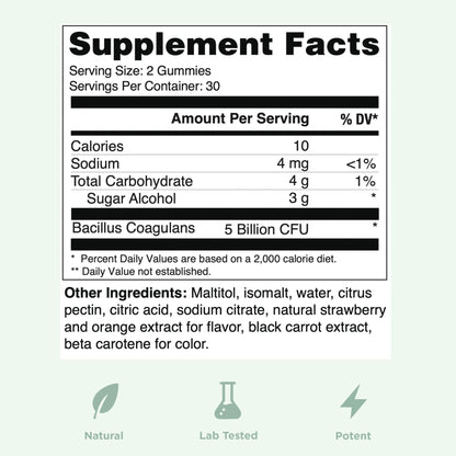 Yuve Natural Sugar Free Probiotic Gummies 5 Billion CFU, Helps with Constipation, Bloating & Leaky Gut - Vegan, Gluten-Free & Non-GMO - 60ct - PrimeBioHealth - canada supplements