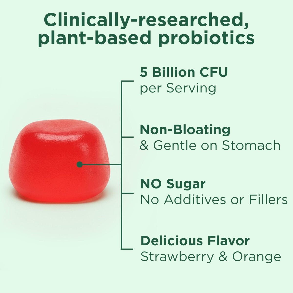 Yuve Natural Sugar Free Probiotic Gummies 5 Billion CFU, Helps with Constipation, Bloating & Leaky Gut - Vegan, Gluten-Free & Non-GMO - 60ct - PrimeBioHealth - canada supplements