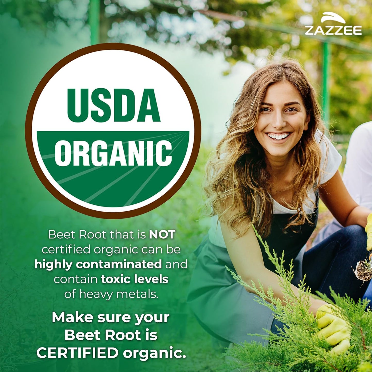Zazzee USDA Organic Beet Root 20:1 Extract, 120 Vegan Quick Release Capsules, 4 Month Supply, Nitric Oxide Support, Black Pepper Extract for Enhanced Absorption, Certified Kosher, Non-GMO, Made in USA - PrimeBioHealth - canada supplements