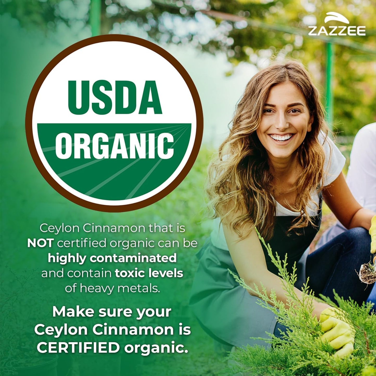 Zazzee USDA Organic Ceylon Cinnamon 20:1 Extract, 150 Vegan Capsules, 5 Month Supply, Sri Lankan Variety, Cinnamomum Verum, Antioxidant & Metabolic Support, All-Natural, Non-GMO, Made in the USA - PrimeBioHealth - canada supplements