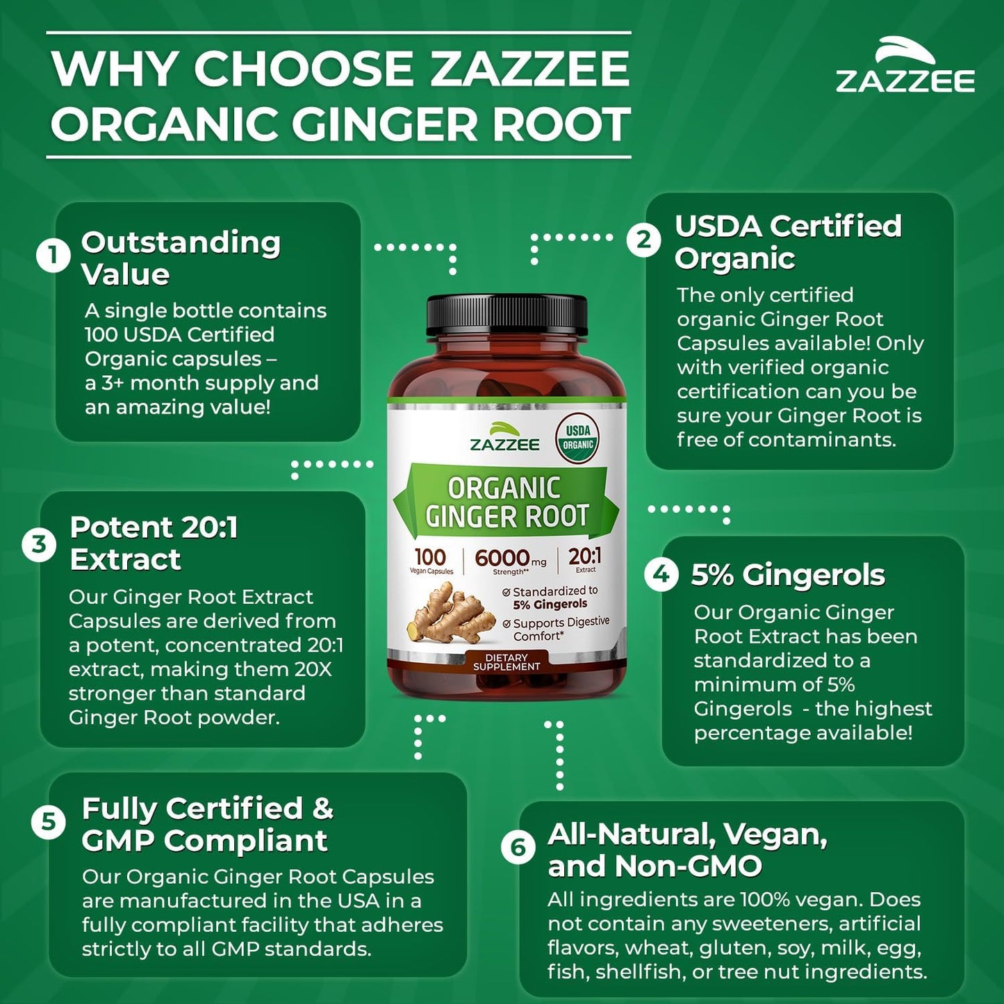 Zazzee USDA Organic Ginger Root 20:1 Extract, 5% Gingerols, 100 Vegan Capsules, 3+ Month Supply, Zingiber Officinale, Digestive & Stomach Support, All-Natural, Non-GMO, Made in the USA - PrimeBioHealth - canada supplements