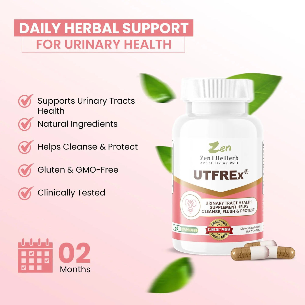 ZEN LIFE HERB UTFREx – Fast Acting - Promotes Urinary Tract Health Supports Healthy Immune and Urinary System, No Vitamins, Minerals, Prebiotics, Sugar, Plant-Based Supplement (60 Capsules) - PrimeBioHealth - canada supplements