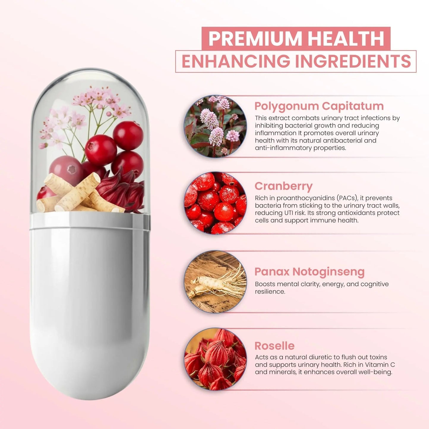 ZEN LIFE HERB UTFREx – Fast Acting - Promotes Urinary Tract Health Supports Healthy Immune and Urinary System, No Vitamins, Minerals, Prebiotics, Sugar, Plant-Based Supplement (60 Capsules) - PrimeBioHealth - canada supplements