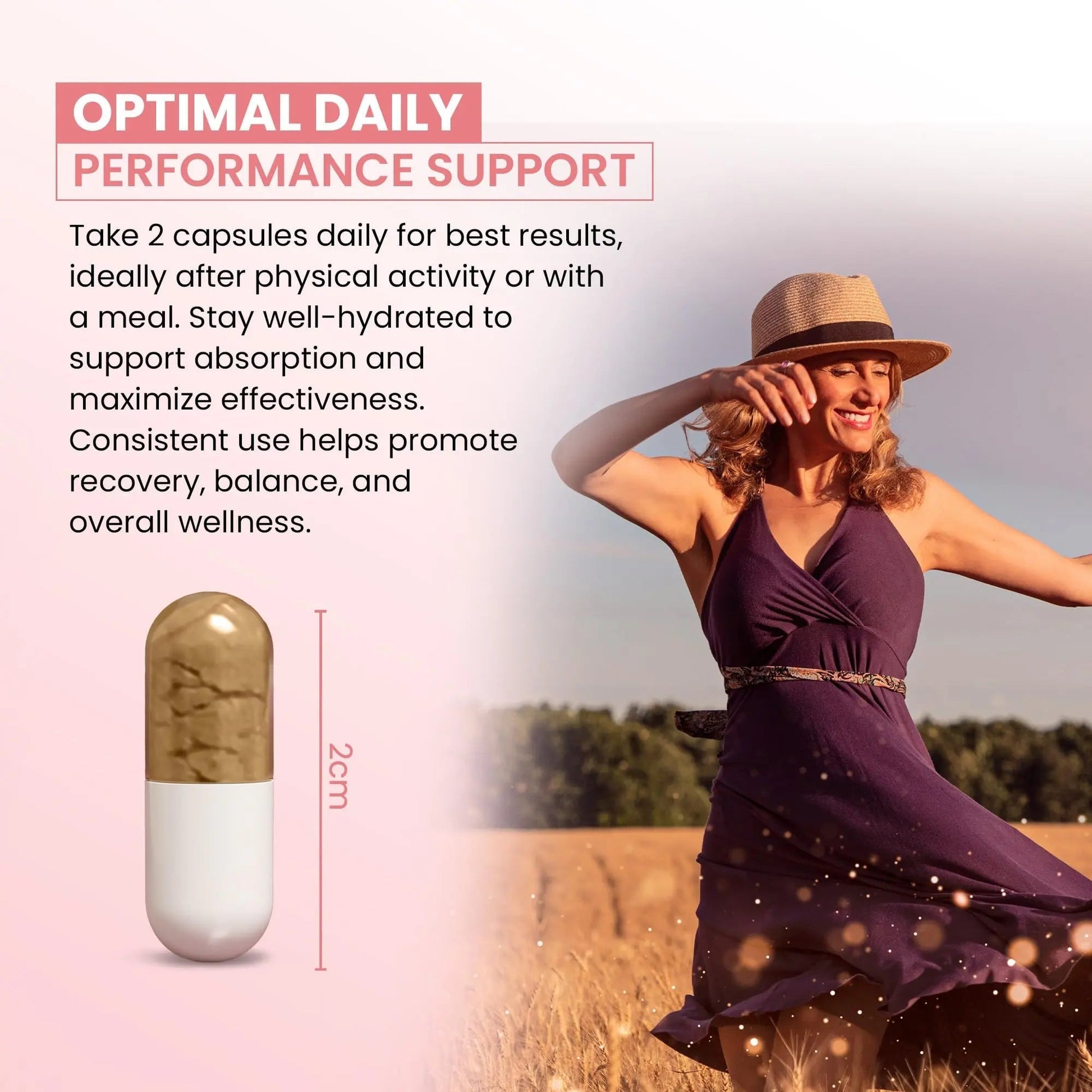 ZEN LIFE HERB UTFREx – Fast Acting - Promotes Urinary Tract Health Supports Healthy Immune and Urinary System, No Vitamins, Minerals, Prebiotics, Sugar, Plant-Based Supplement (60 Capsules) - PrimeBioHealth - canada supplements